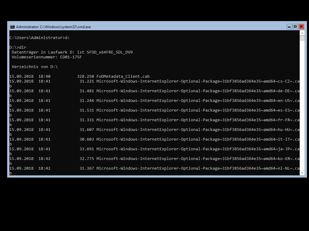 WSHowTo &#8211; Windows Server 2019 Core FOD AppCompatibility