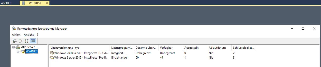 Serie „Migration auf Windows Server 2019“ – Migration einer RDS-Infrastruktur (WS-RDS2)